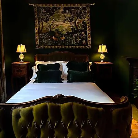The Forest At Mount Congreve Gardens Waterford