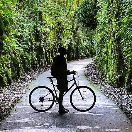 The Forest At Mount Congreve Gardens Hotel *