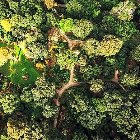 The Forest At Mount Congreve Gardens Hotel Waterford