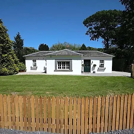 The Forest At Mount Congreve Gardens