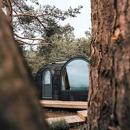 Hotel The Forest At Mount Congreve Gardens Waterford